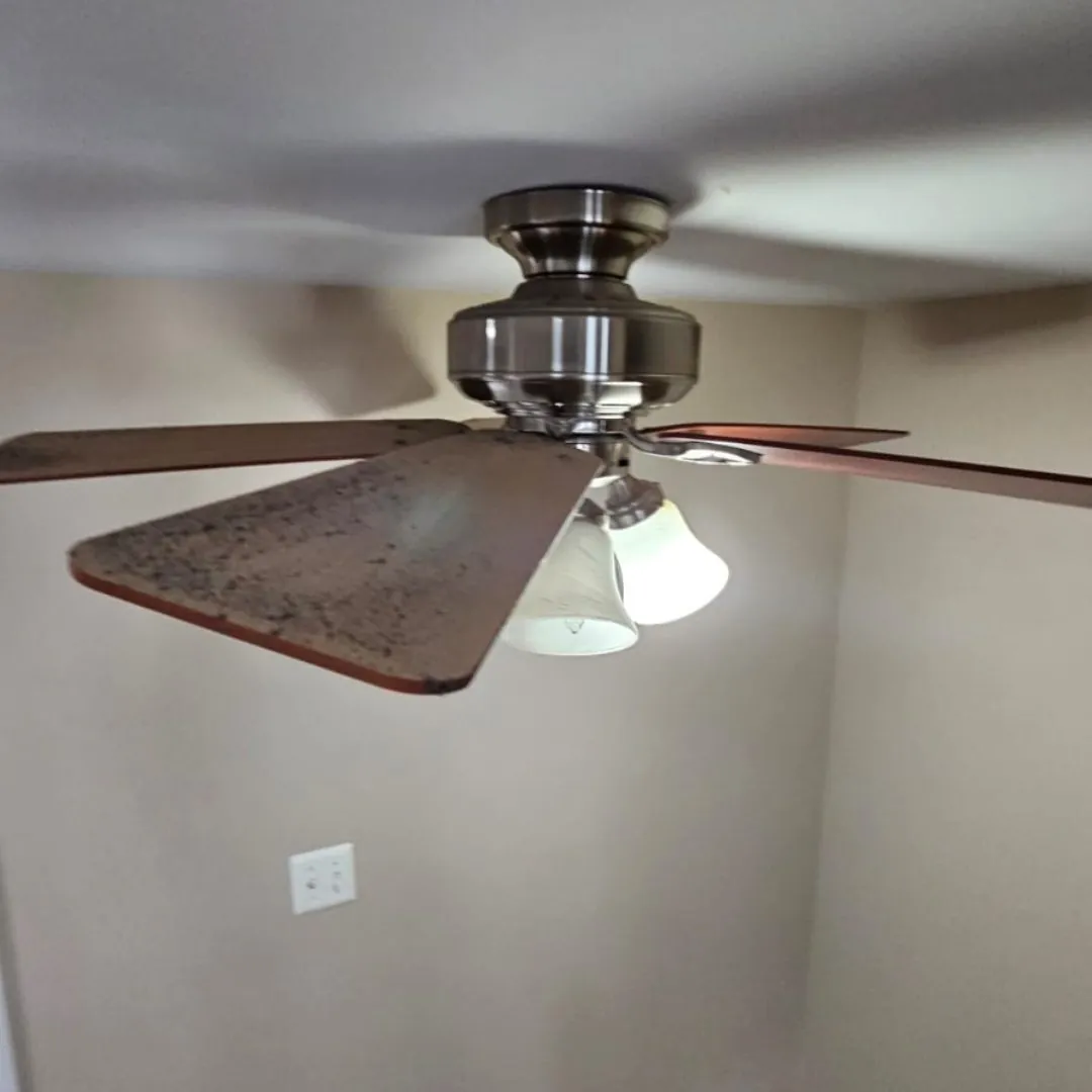 Ceiling Fan before